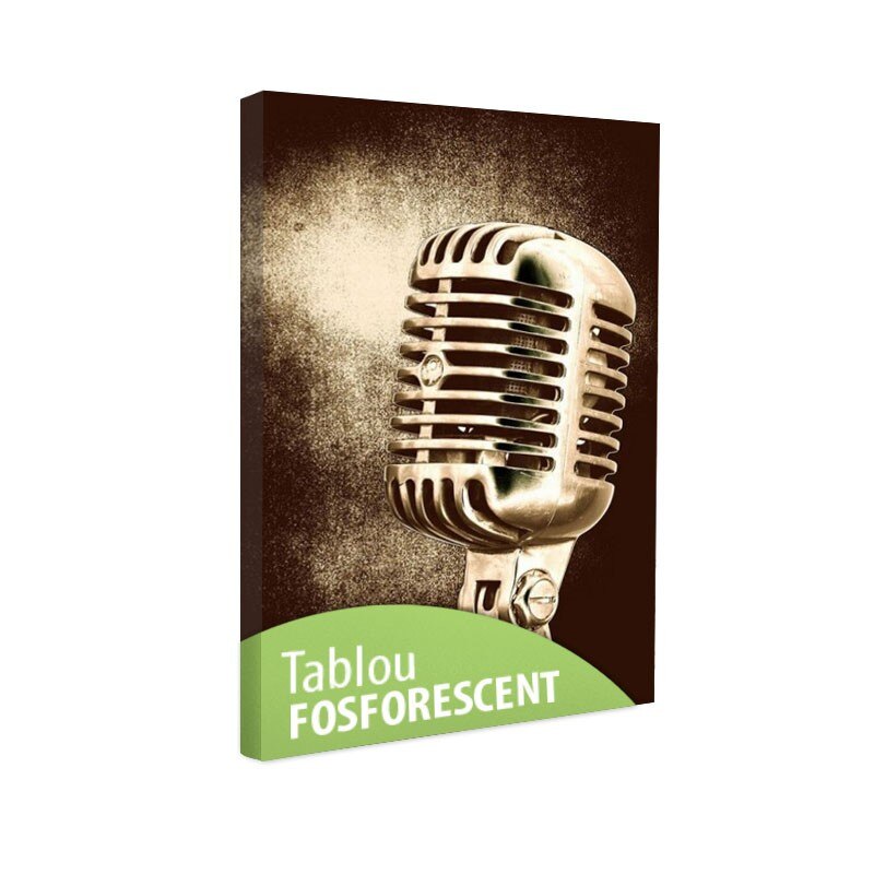 Tablou fosforescent Microfon 90x52 cm